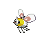 Cutiefly